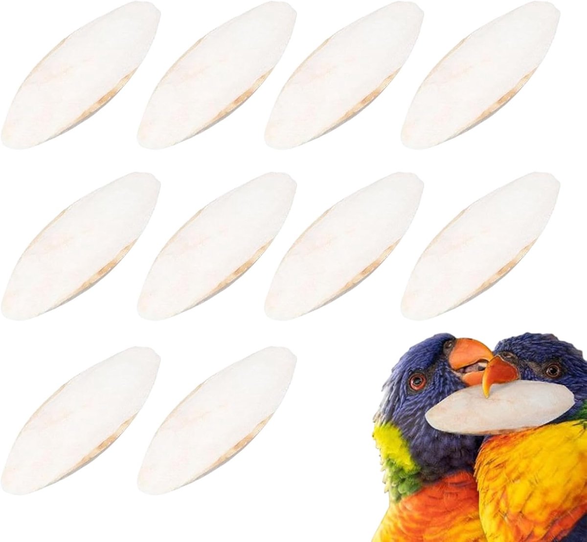 Sepiakoes voor valkparkieten, 10 stuks bruine sepiakoes, dierensnack, 9-12 cm, voedingsbenodigdheden voor huisdieren, knuffelbotten