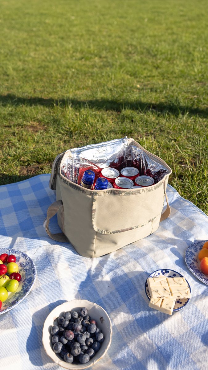 Geïsoleerde Koeltas| Lunchtas| Thermotas| 12 Liter| Picknicktas| Koeltas voor op reis met draagband| Grijs