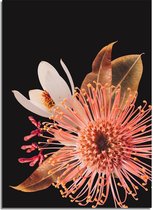 DesignClaud Australische bloemen poster - Bloemstillevens - Kleurrijk A4 + Fotolijst wit