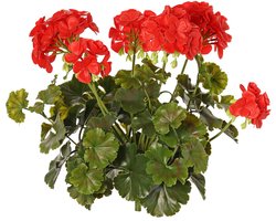 Topart Kunstbloemen boeketje - Franse geranium - rood - UV bestendig - D30 cm x H39 cm
