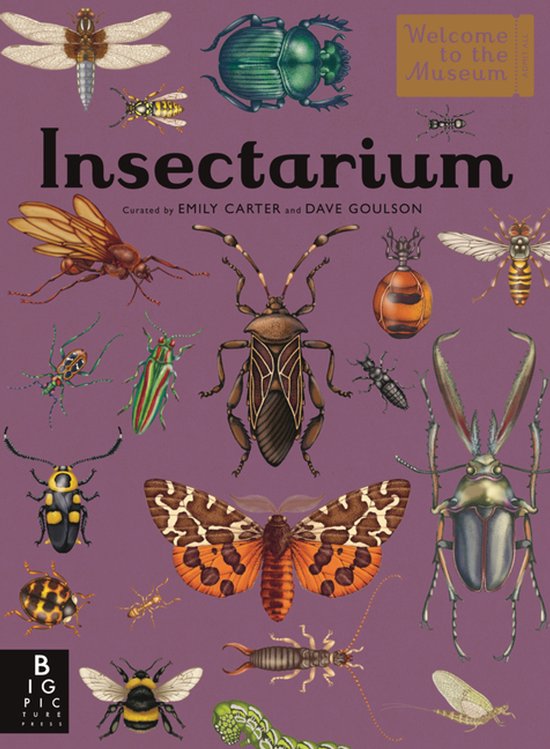 Boekomslag Insectarium met diverse illustraties van insecten in verschillende kleuren en maten.