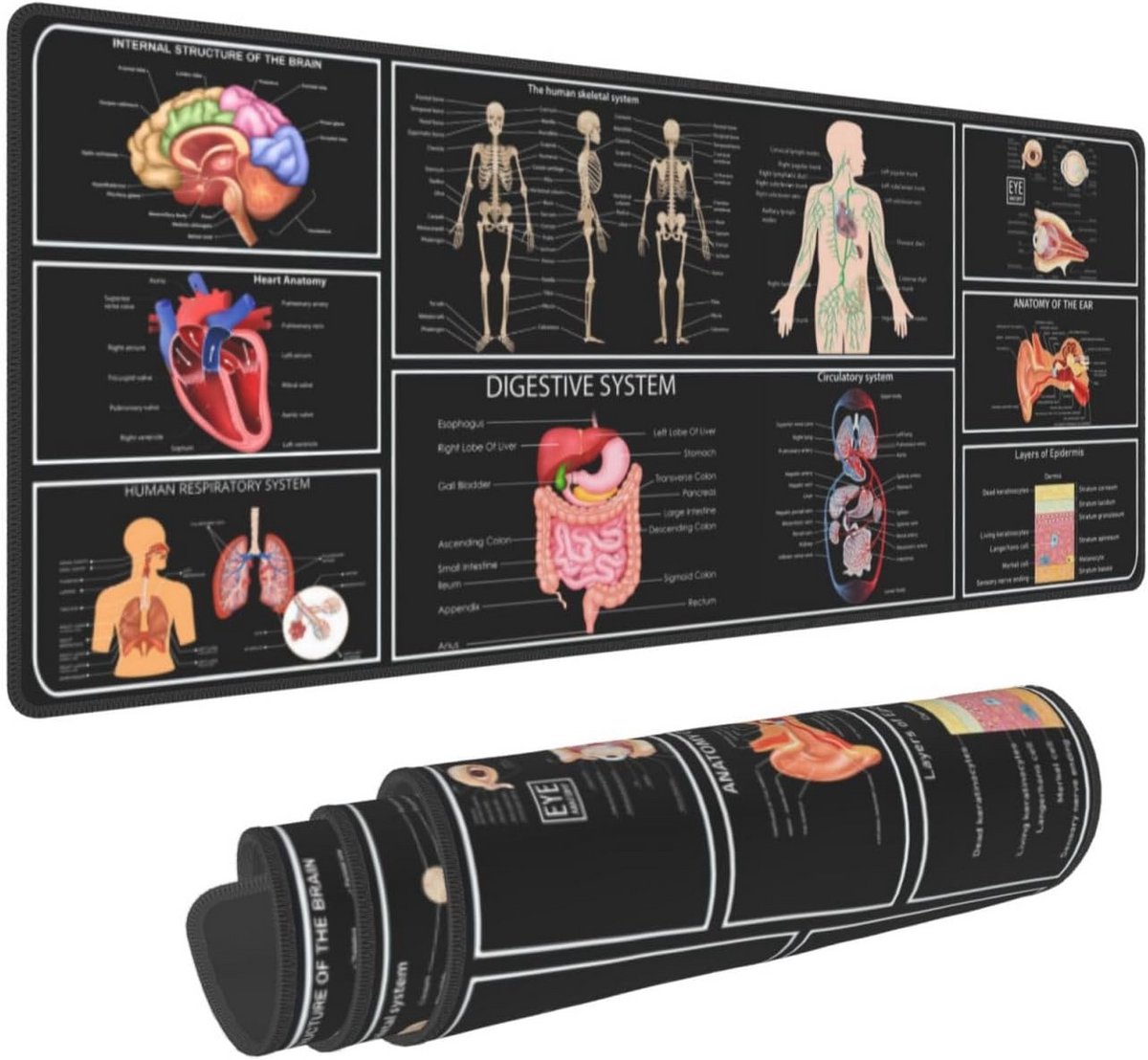 Anatomie en Fysiologie Gaming Muismat XL - Rubber Anti-slip Bureaumat voor Thuiswerk