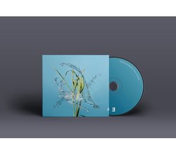 Stream