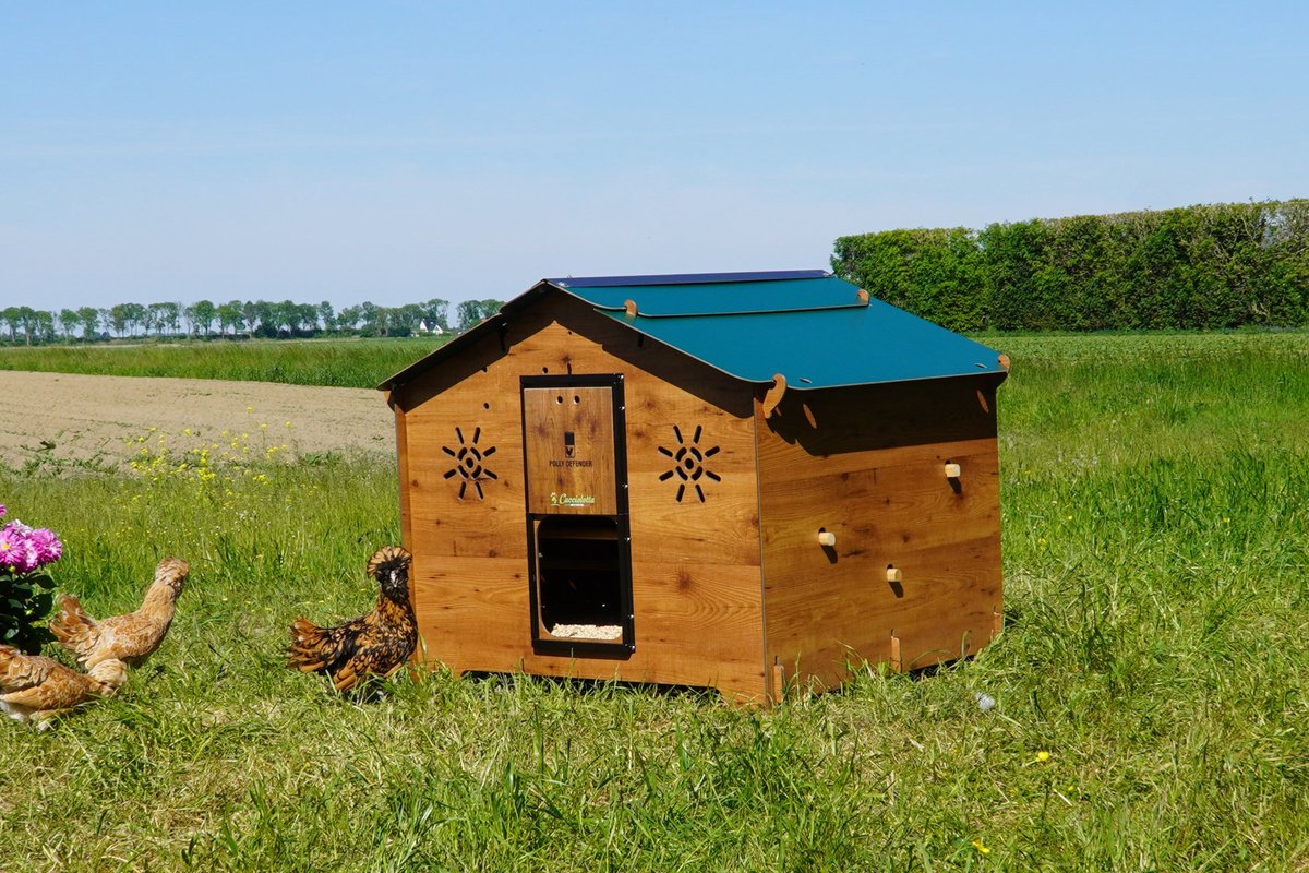 Trespa Kunststof Kippenhok | Chalet 2XL | Hèt anti-bloedluis kippenhok! |Cucciolotta