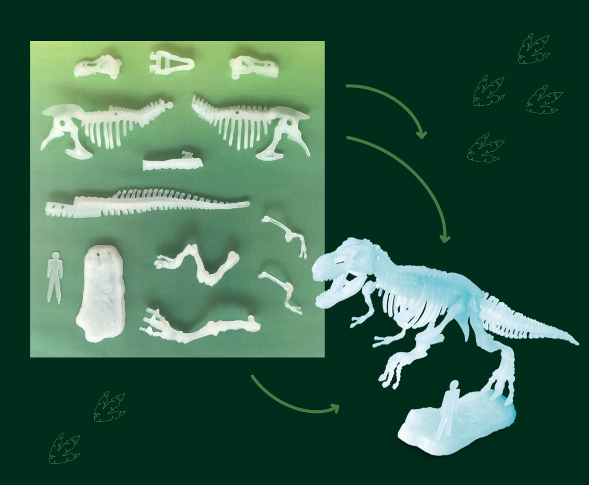 KOSMOS Dig Out Glow in the Dark T-Rex - Opgravingsset - Graaf een Lichtgevend T-Rex Skelet Op - Bouw Zelf een Dino van 13 Botdelen - Inclusief Hamer en Beitel - STEM Speelgoed - Vanaf 7 Jaar — afbeelding 8
