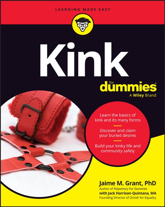 Kink For Dummies - cover