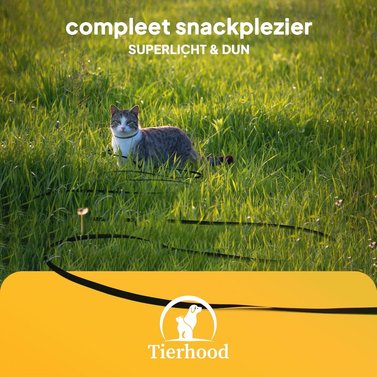 Verstelbare Looplijn voor Katten en Kleine Honden - 5m, 10m, 15m - Lichte en Waterdichte Sleeplijn met Handlus