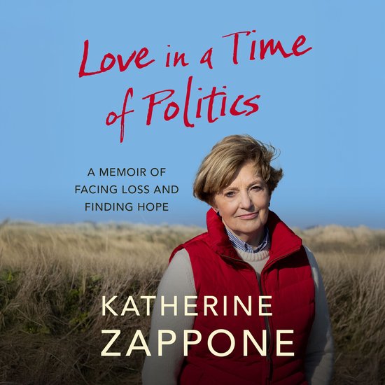 Love in a Time of Politics - cover