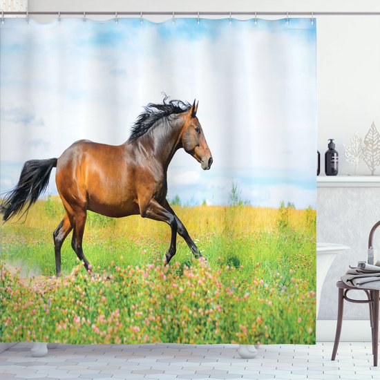Cheval brun à crinière noire galopant dans un champ de fleurs sous un ciel bleu avec des nuages.