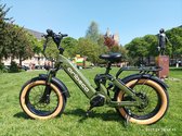 Bol.com ARIBECA Angel A8 off-road fat tire all-road city electric bike suitable for any terrain front and rear shock absorbers g... aanbieding
