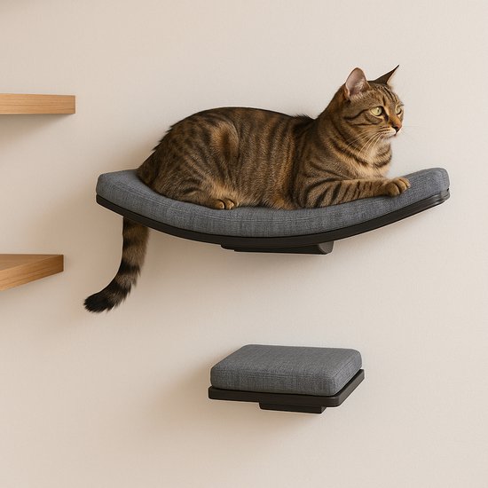 Klimwand voor katten - Hangmat voor aan de muur of raam - Tot 20 kg