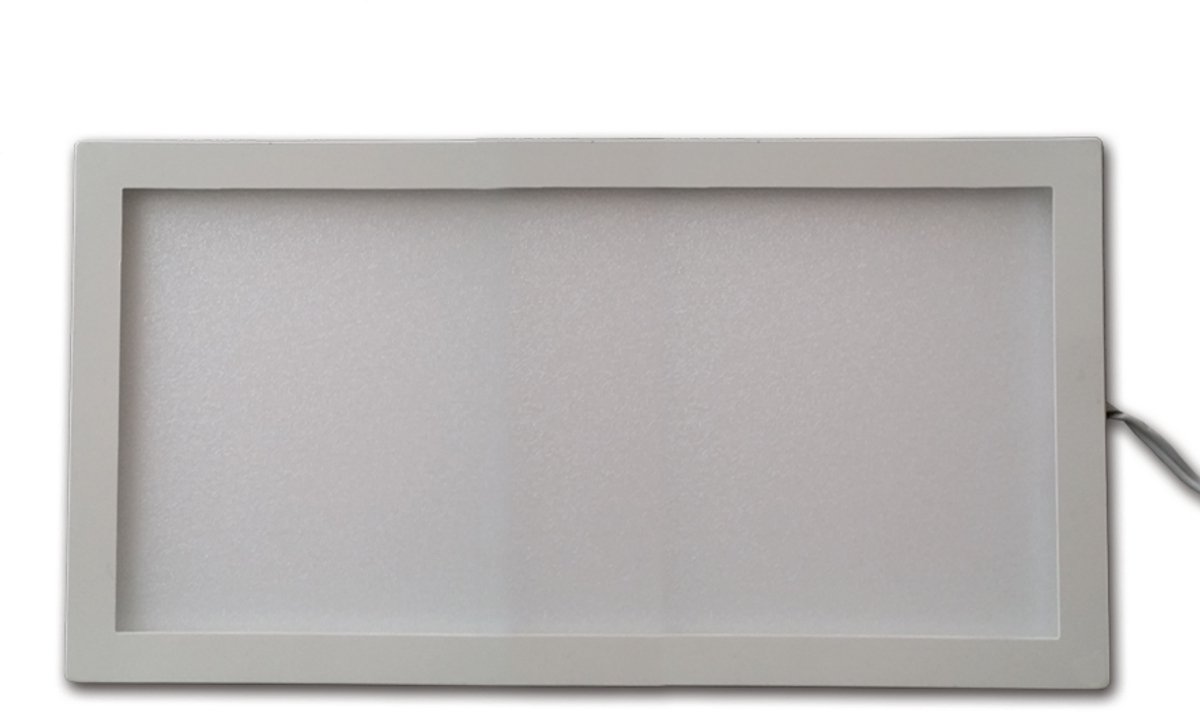 Hollex LED Paneel 12V Rechthoek 200x100mm ww