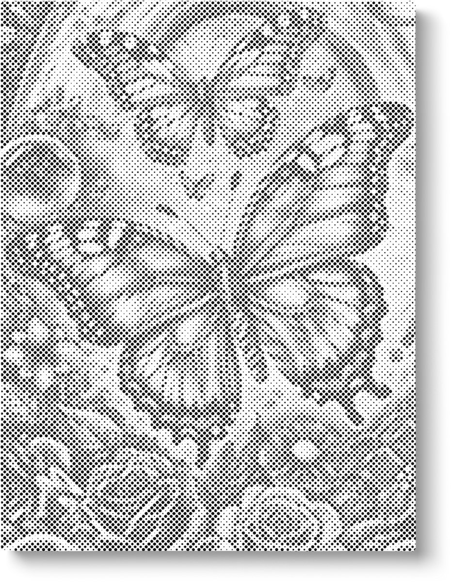 Prachtige Vlinders | Dot painting | 30x40cm | Dot painting | Oh My Dotz | Dots stippen | Diamond painting & Schilderen op nummer alternatief | Happy hobby — afbeelding 4