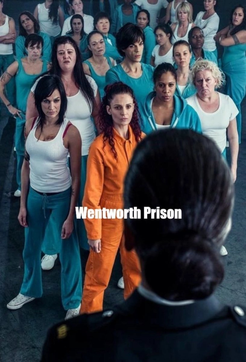 Watson, R: Wentworth Staffel 1-4 LTD. / 15 DVDs
