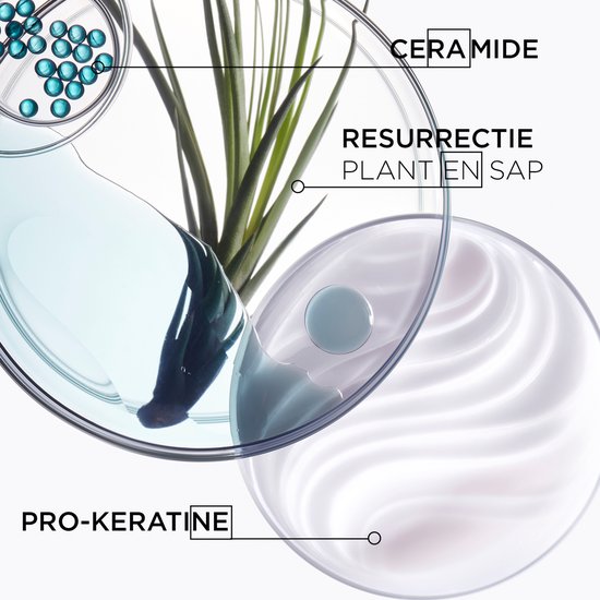Plaques de Pétri avec de la céramide, de la sève végétale de résurrection et de la pro-kératine.