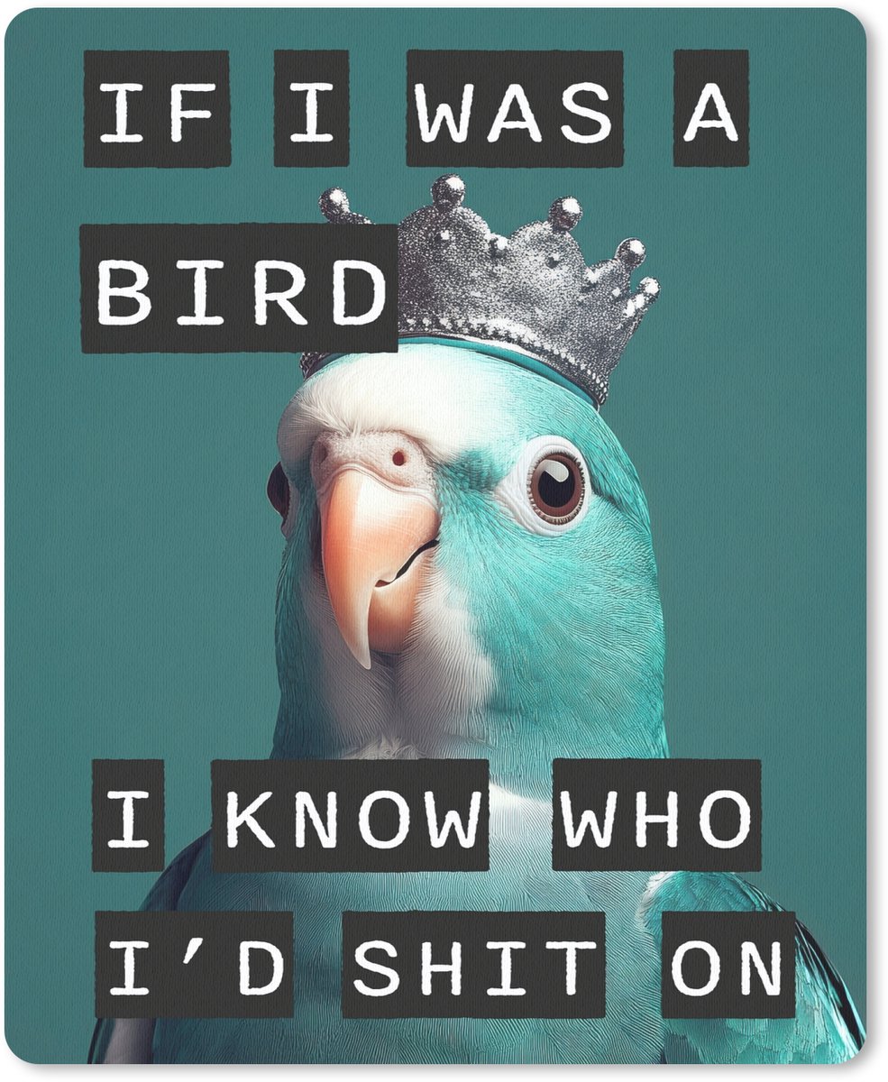 Muismat 19x23 cm - Mousepad Parkiet - Turquoise - Quotes - Decoratie - Muismatten