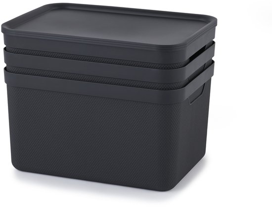 Lot de 3 boîtes de rangement Rotho Jive 16 l avec couvercle, plastique (PP recyclé), noir/anthracite, 3 x 16 (35 x 25 x 20 cm)