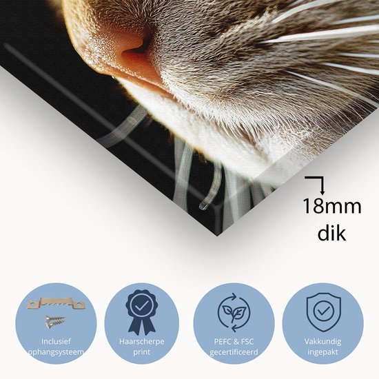 Oeil de chat détaillé en gros plan - Peinture de chat - Œuvre d'art animalier - Hyperréalisme - Décoration d'intérieur - Décoration murale de salon - Toile 120x80 cm