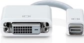 Coretek Mini DVI (m) naar DVI (v) adapter / wit - 0,15 meter