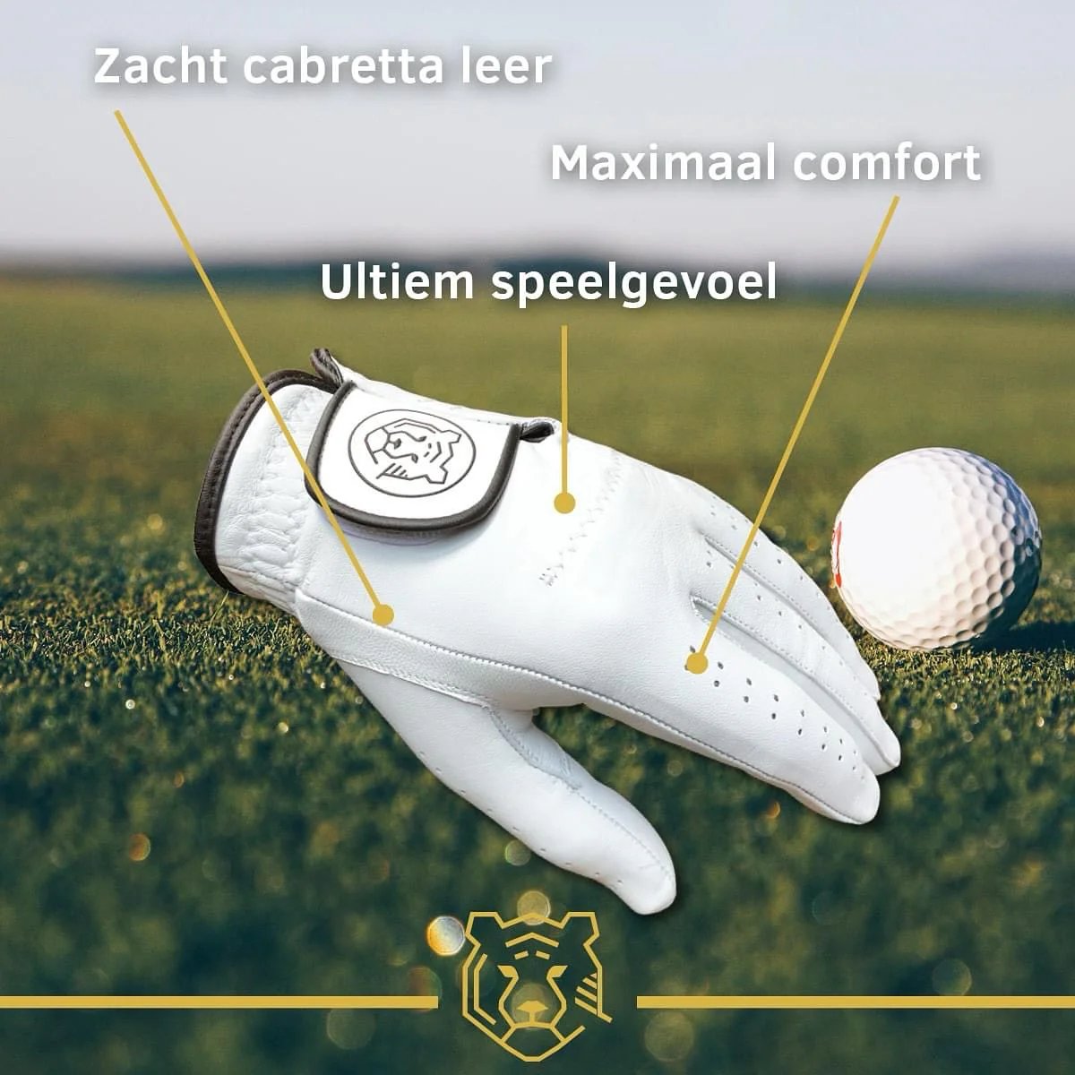 GolfRebels handschoen van cabretta leer maat S heren. Voor rechtshandige spelers