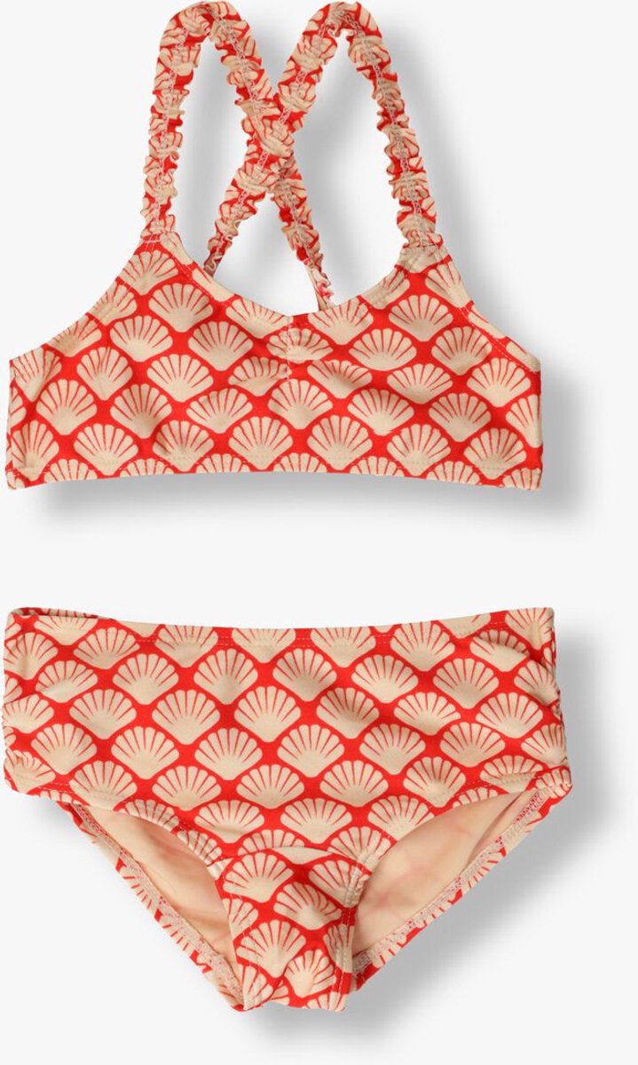 Beachlife Bikini - Sea Shells-152