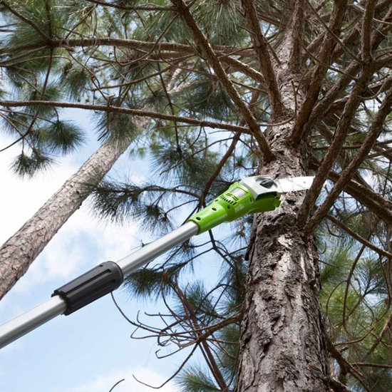 Greenworks Takkenzaagset met 24 V 2 Ah accu G24PS20 20 cm 2000107UA van Greenworks — afbeelding 2