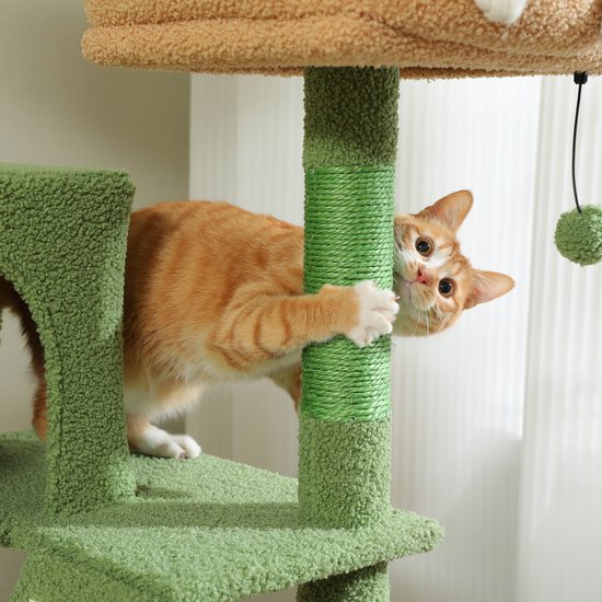 Oranje kat klimt aan een groene krabpaal met bruine randen. Een groene bal hangt eraan.