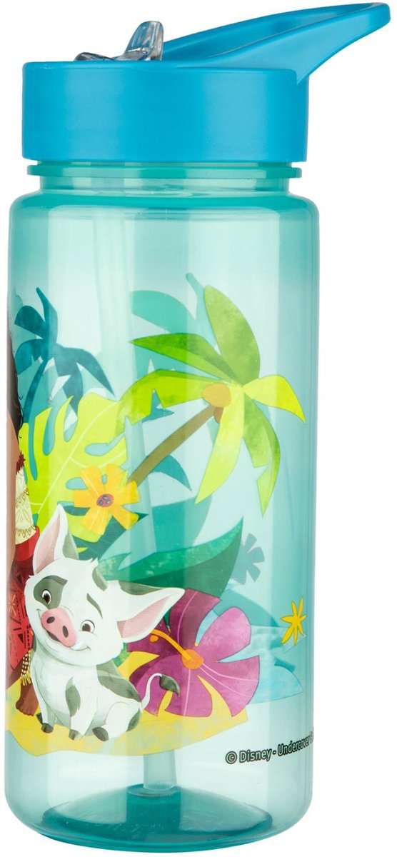 Disney Vaiana Serie - Bidon - 500ml - Veilig Materiaal - Nadruk Hoofdbetaalfiguren — afbeelding 2