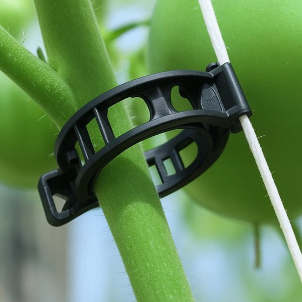 Ferrarium Plantenclips 500 stuks - 28 mm diameter- Zwart- Tomatenplanten - Moestuin - tomaten plant opbinden - planten klips - clips voor tomatenplanten - fruit onbinden - opbindclips - plantenclips - Tomaat Clips Ondersteuningen