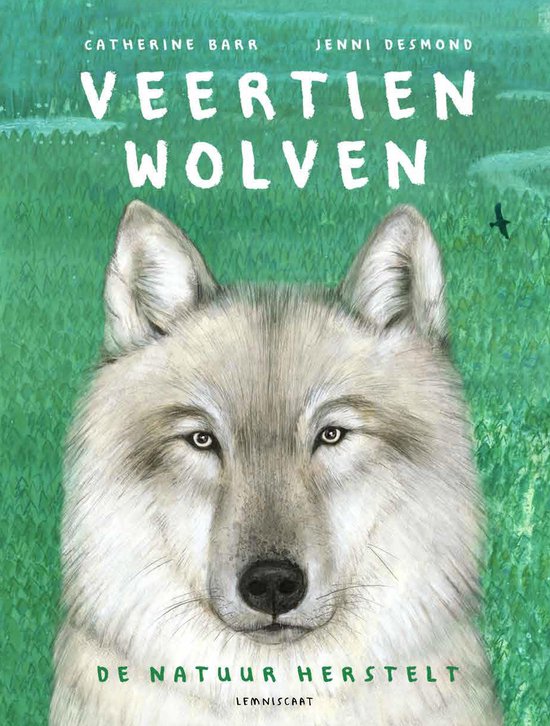 Lemniscaat Veertien wolven. 7+