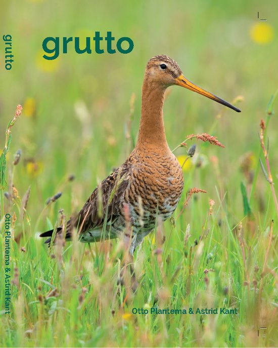 Grutto