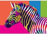 Artventura Schilderen op Nummer Regenboog Zebra 16,5x13 cm
