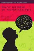 Neurowetenschappen in taal en spraak - Neuro-anatomie en neurofysiologie