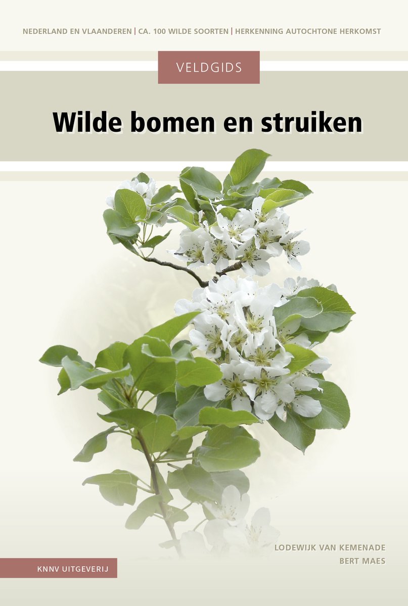 Gedetailleerde foto van bloeiende witte wilde bomen en struiken met groene bladeren.