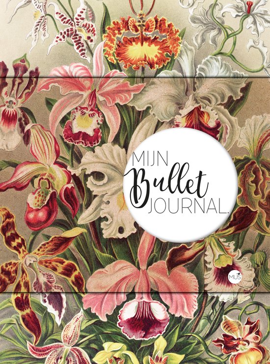 Mijn Bullet Journal Orchidee - cover