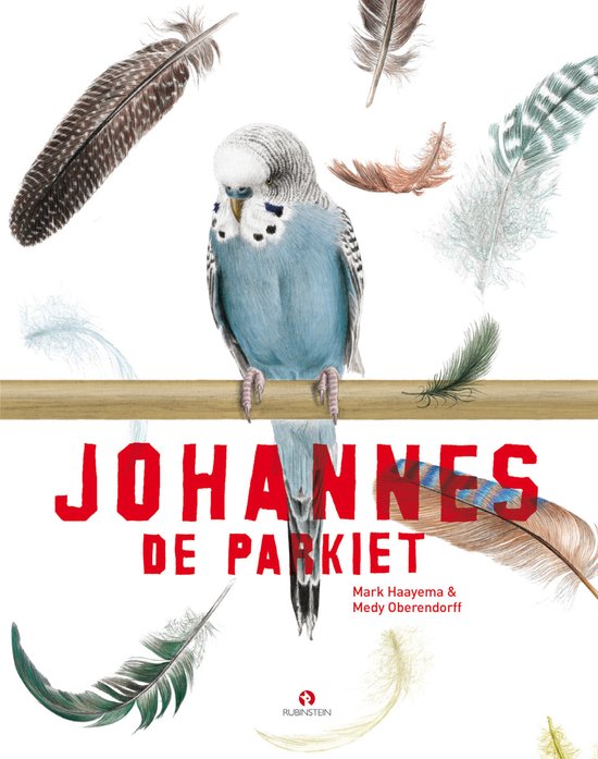Johannes de parkiet - cover