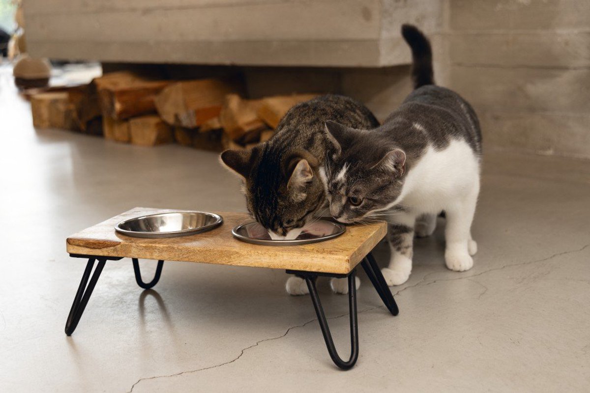 Designed by Lotte Katten-Dinnerset Linga 2x250 ml, Ø13cm Kommen