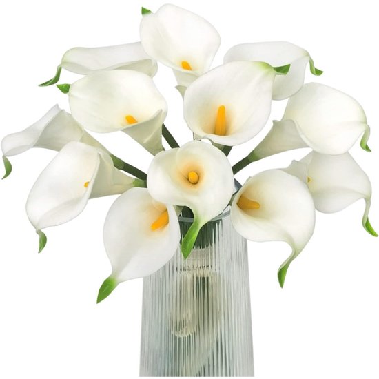 Calla Lelie Captain Promise | Zantedeschia Bollen Calla Lelie Captain Promise | Zantedeschia Bollen