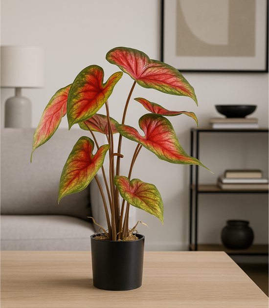 Goodplants Plante artificielle Caladium chair rouge - 55 cm - Plantes artificielles d'intérieur - Caladium artificiel - Vert/Rouge