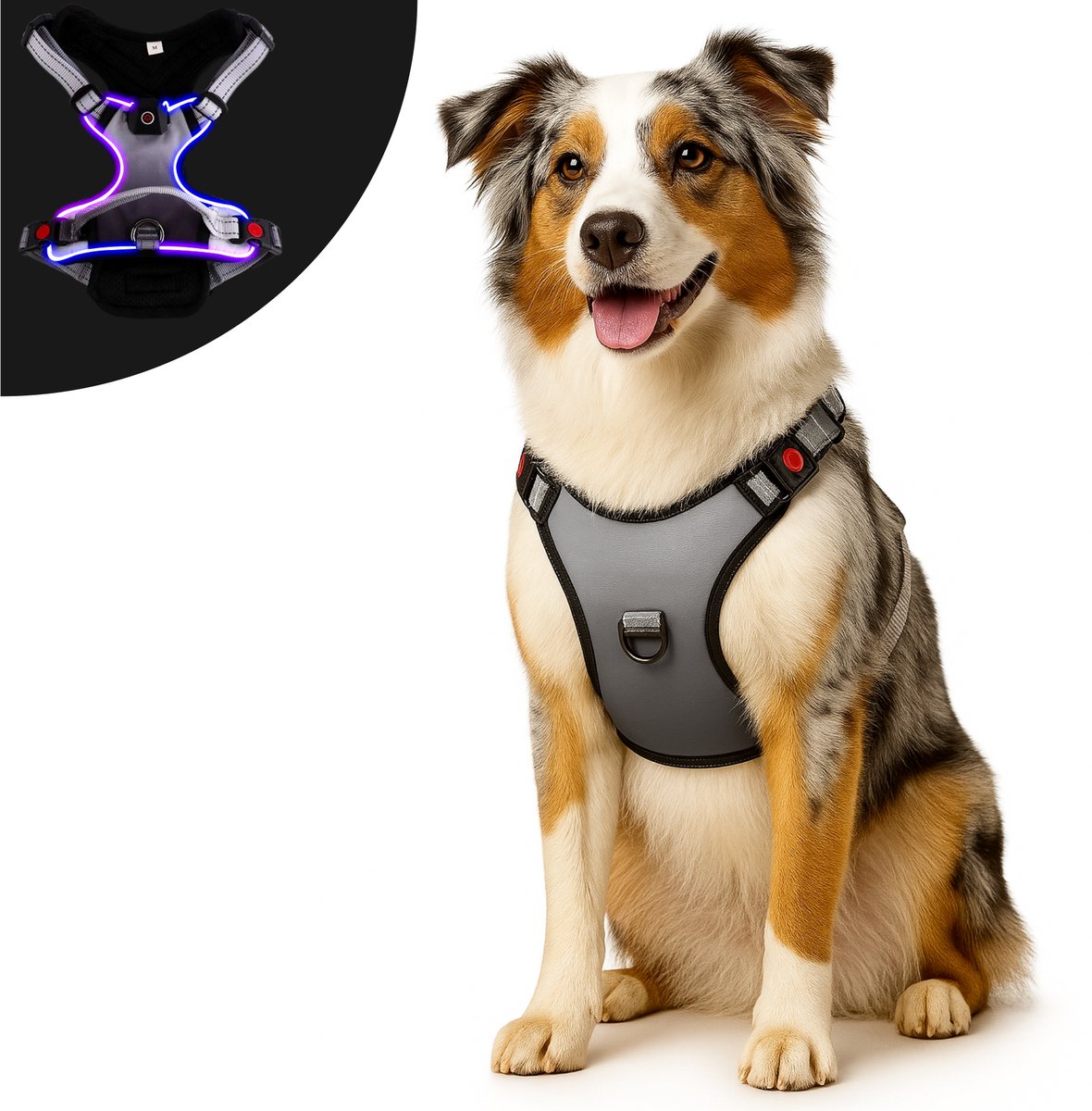Premium Pets Hondentuig - Y Tuig hond - Harnas Hond - Anti Trek Tuig Hond - Lichtgevend - Led Licht - Reflecterend - M