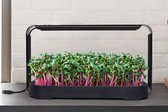 Selevie Hydrocultuur - Kweek set - Binnentuinset Met LED-verlichting – Ideaal voor Microgreens & Zaailingen - Microgreen kit