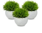 plantes artificielles - lot de 3 - pour usage intérieur - en pot