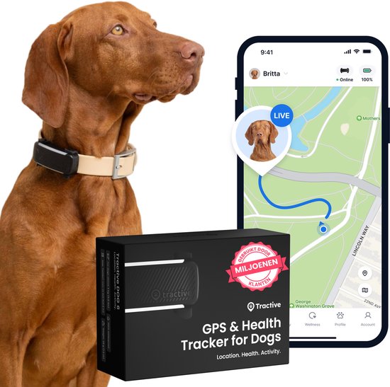 Tractive DOG 6 – Honden GPS met Gezondheid & Activity tracker - Past op meeste halsbanden – Zwart