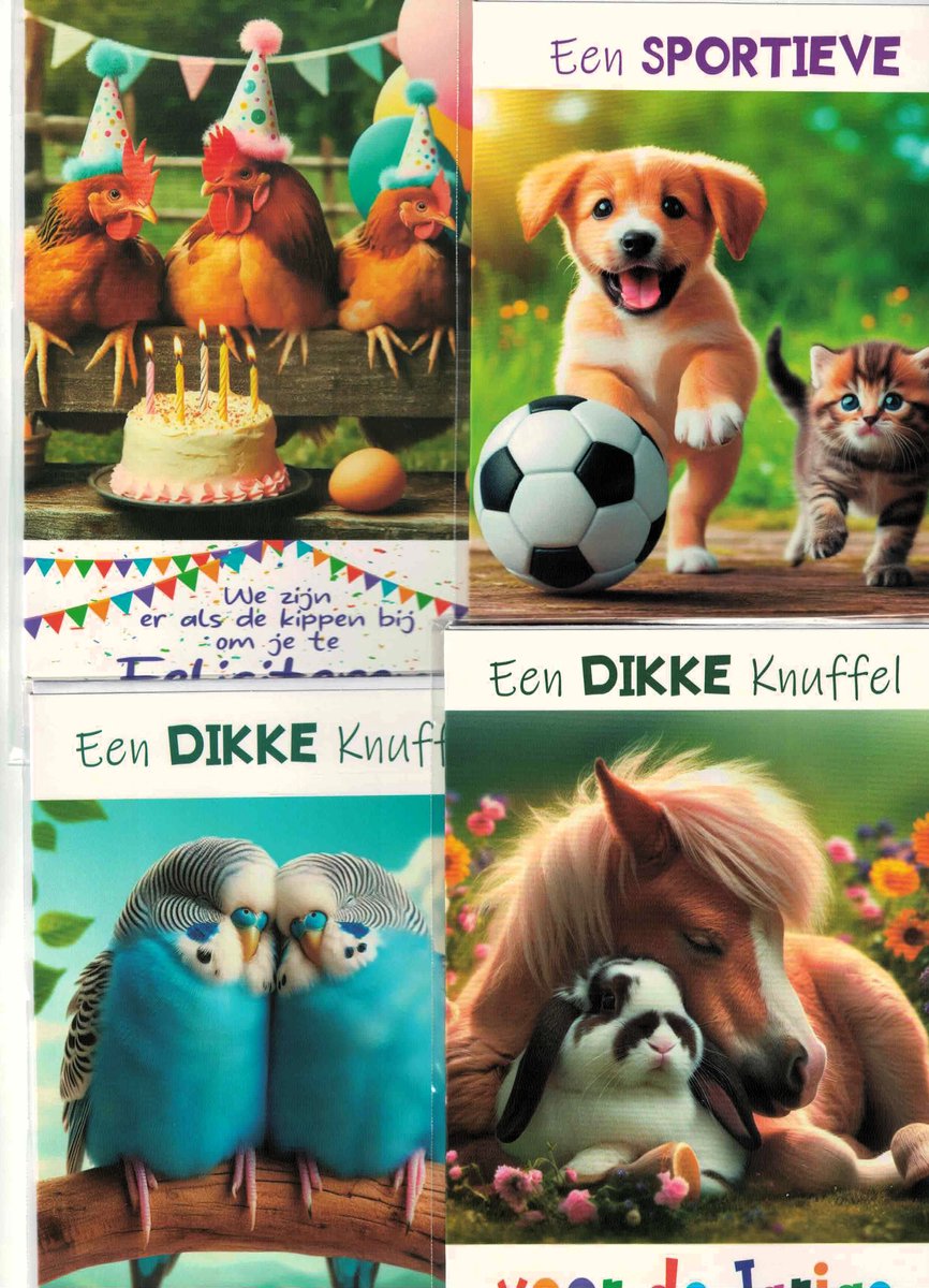 Wenskaarten - set van 10 - felicitatie - hartelijk gefeliciteerd - verjaardag - verjaardag kind - dieren - lieve dieren - dikke knuffel