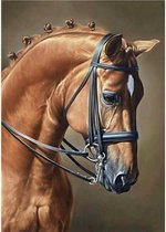 Diamond painting - Springpaard - 27 x 38 cm