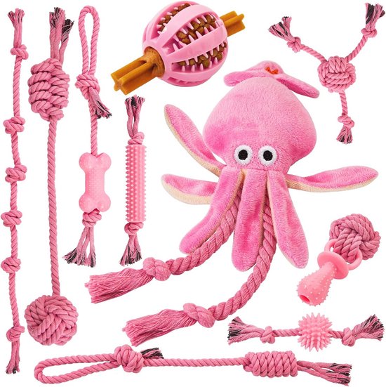 Duurzaam Puppyspeelgoed Set van 10 - Ideaal voor Energieke Puppy’s voor Spelen en Training