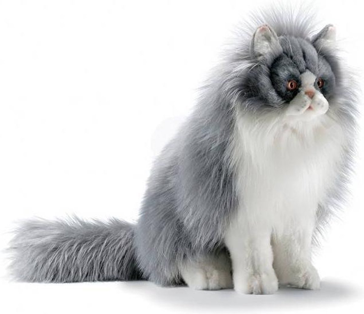 De vreemdeling Toelating Bourgeon Hansa Perzische kat knuffel grijs | bol.com
