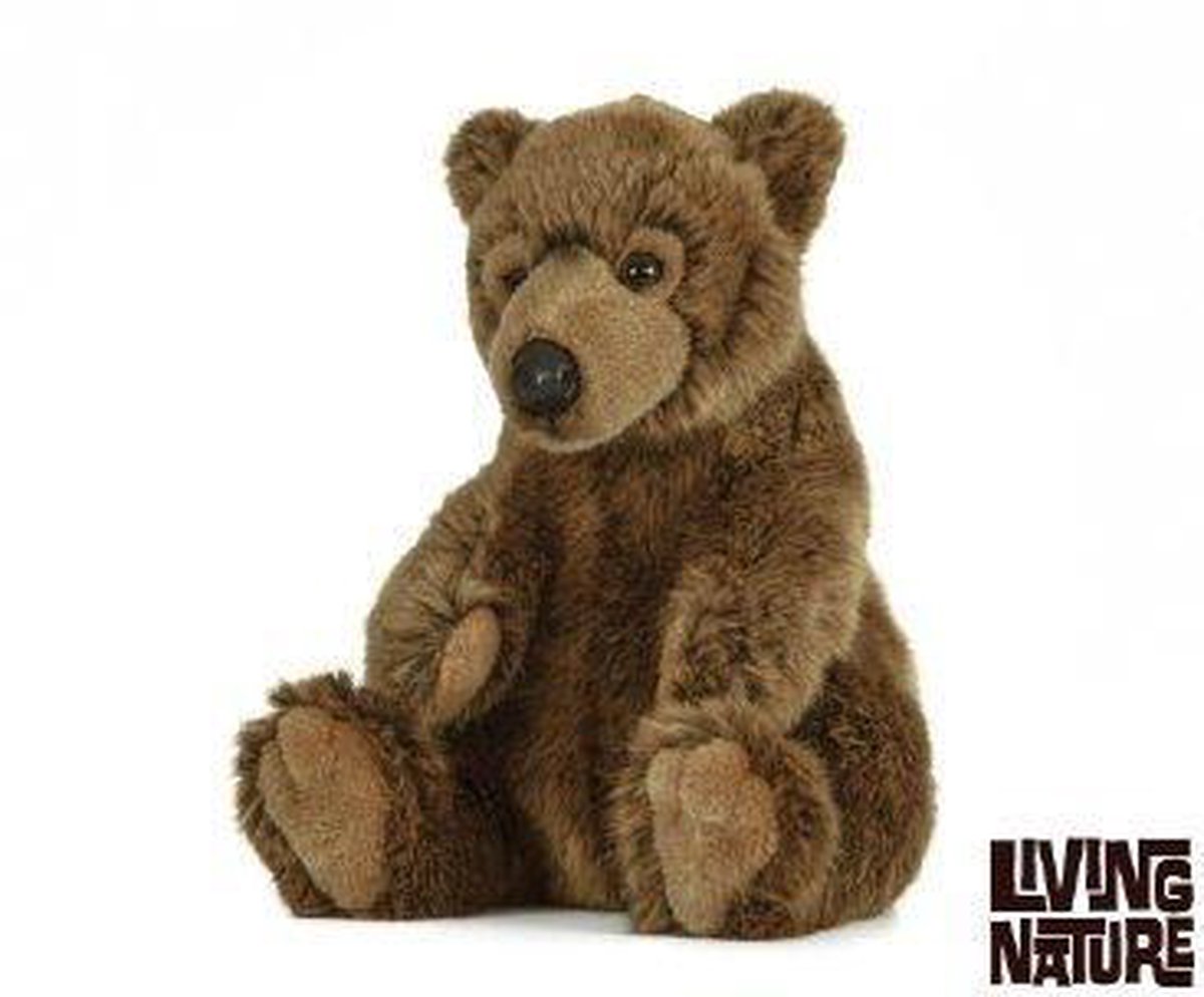 Knuffel Beer met jouw ingesproken bericht [Microfoon MP3] | Beer (Bruin) Knuffel 45cm | Inc. Voice Recorder | Jouw stem | Cadeau: Valentijn - Verjaardag - Geboorte – Moederdag | Message in a Cuddle