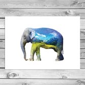DesignClaud Olifant - Waterverf stijl poster A4 poster (21x29,7cm)