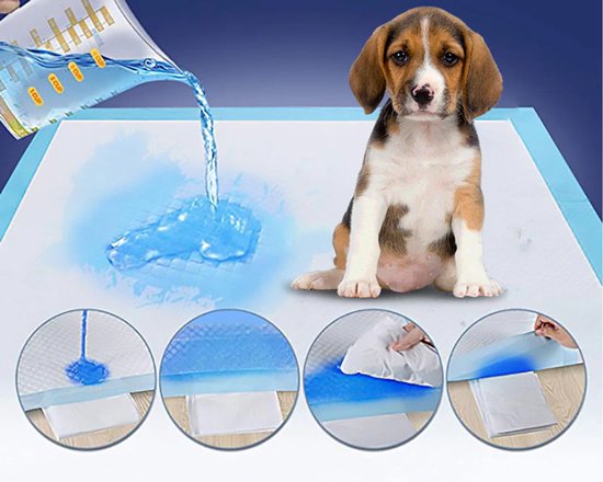 Hondentoilet - Trainingspad - Zindelijk Maken - 60x90 cm - Blauw - 20 Stuks